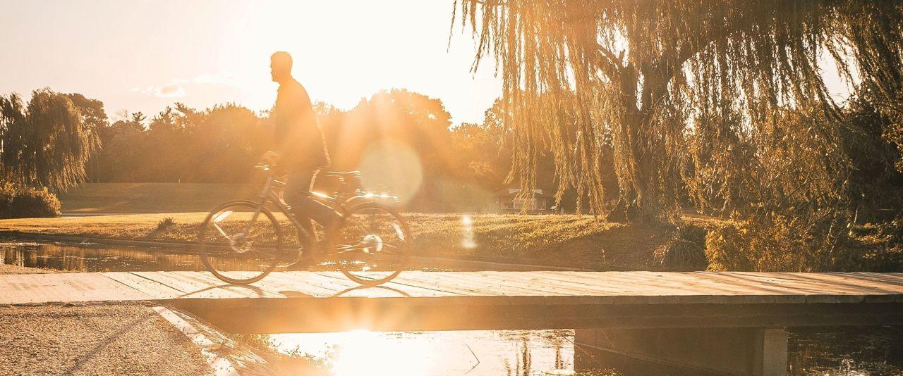 Man riding his bike  among the trees