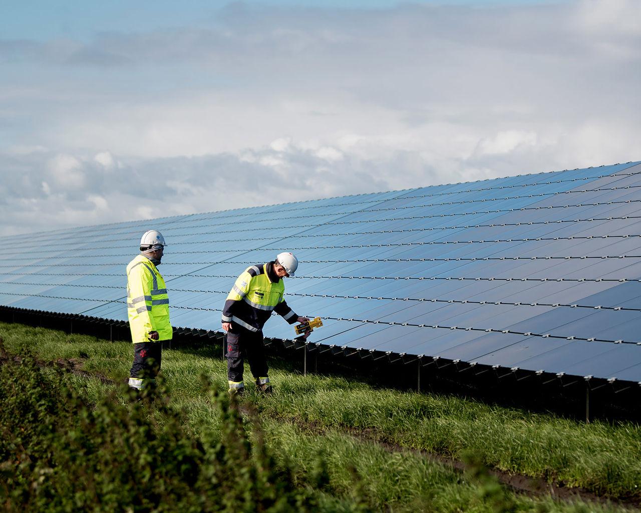 Men walking next to solar panels