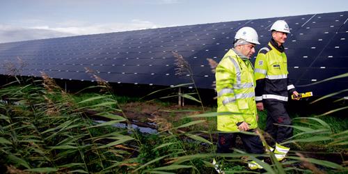 兰格Runde solar park in Emmen, 荷兰